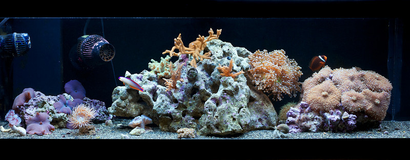 1140022466_4hMwC-L.jpg