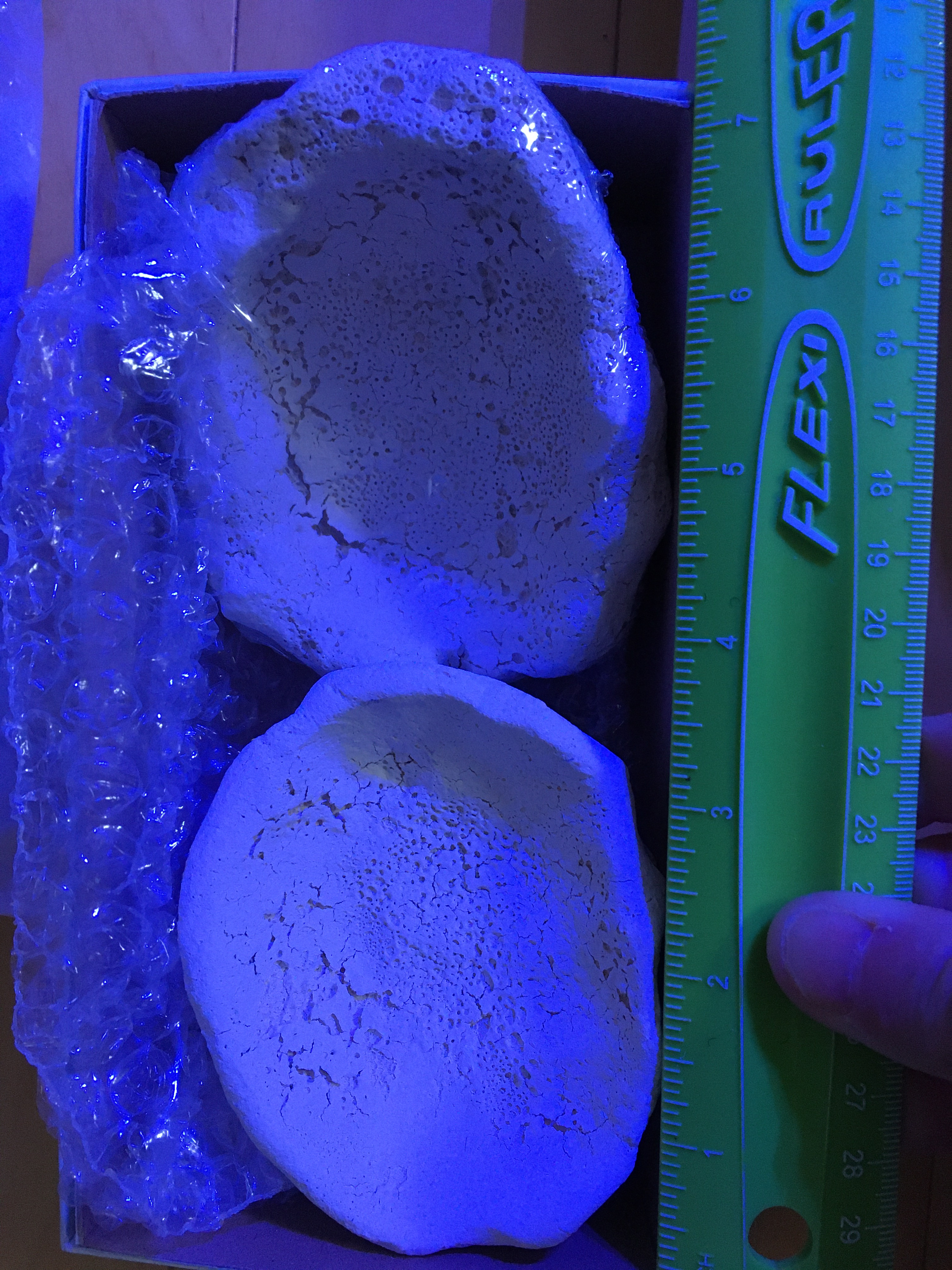 A48810-FC-4-FC9-40-E0-9167-D36-A2-E48-D0-B5.jpg