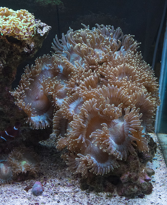 50g_20130904_2.jpg
