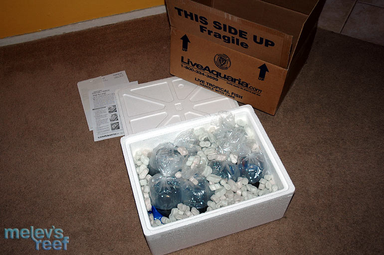live_aquaria_order.jpg