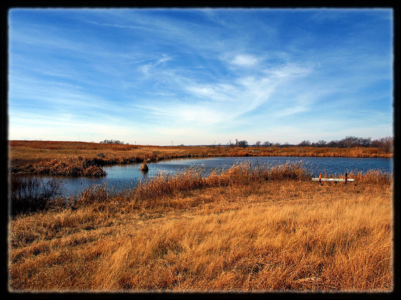 Pond.jpg