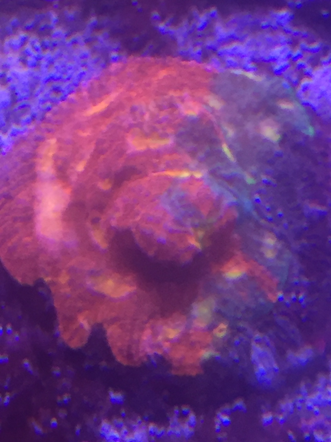 b078bbcb571b1c5eb82641ea0f1fcc55.jpg