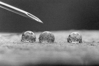 1-s2.0-S0012825200000118-gr1.jpg