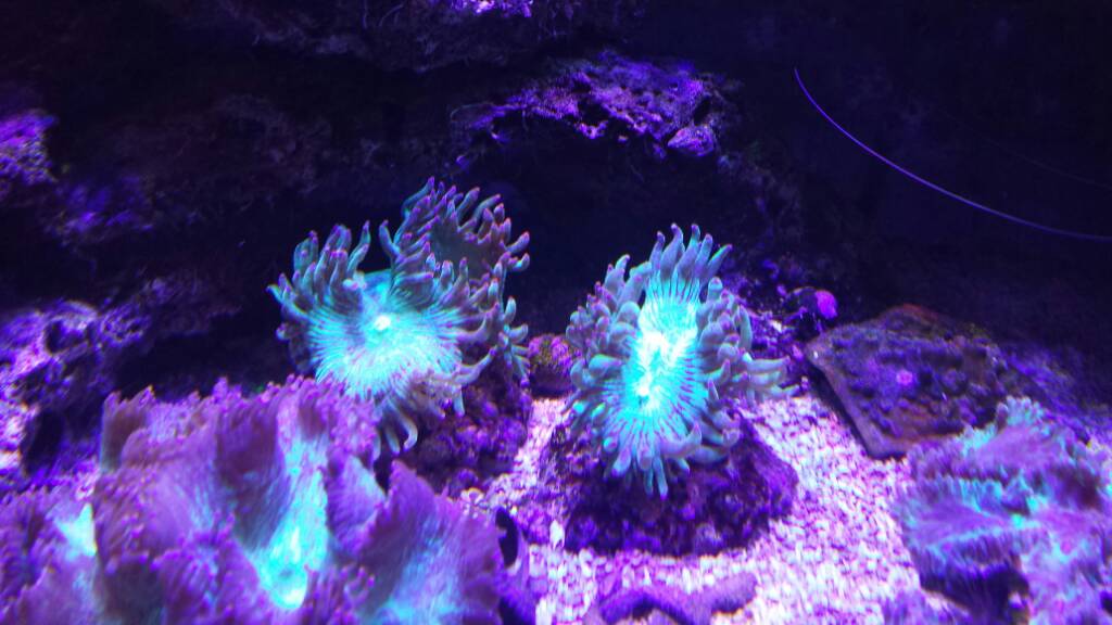 6da29368a5e667342cea255c7744f0ea.jpg