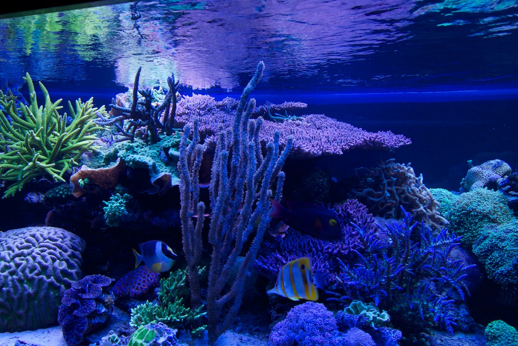 201107-3.jpg