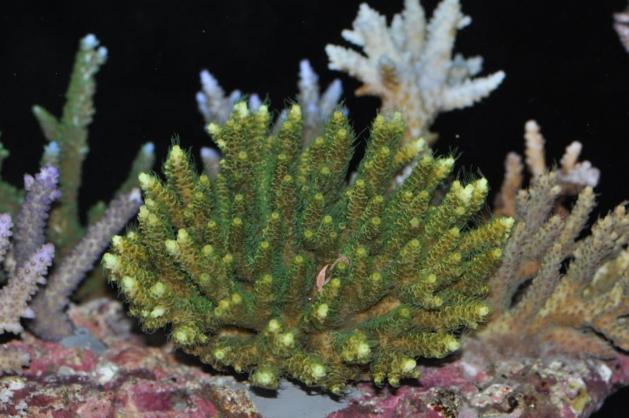 DSC_3259.JPG