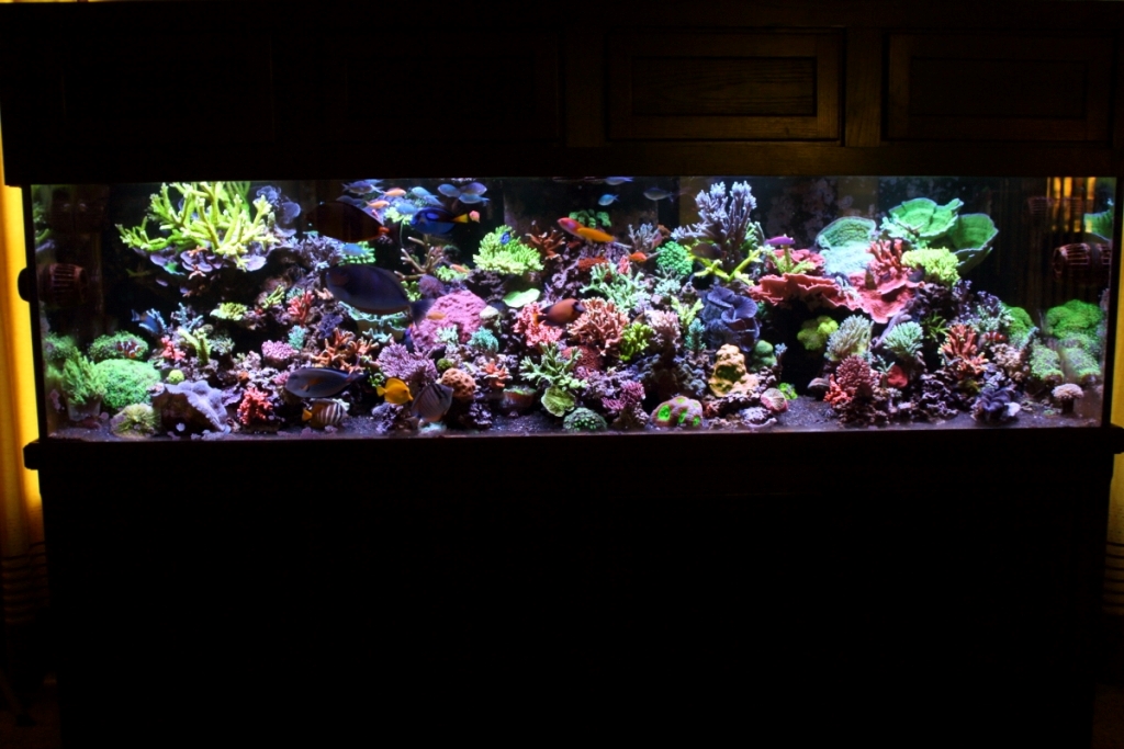 Nov201300222.JPG