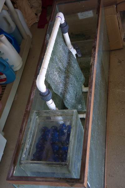 DSC01175_resize.jpg
