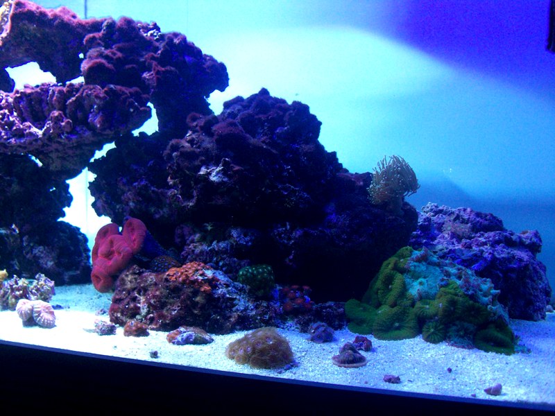 100_9608.jpg