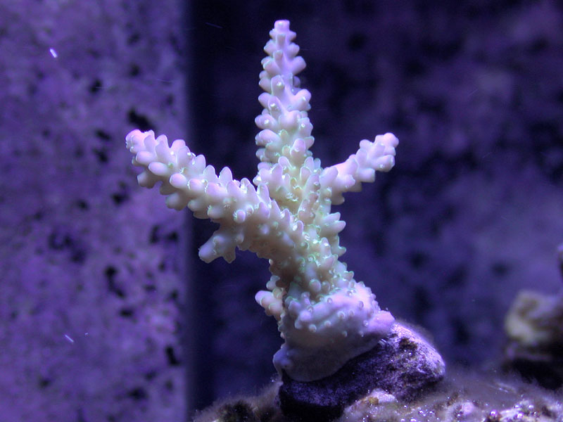 DSCN3163.jpg