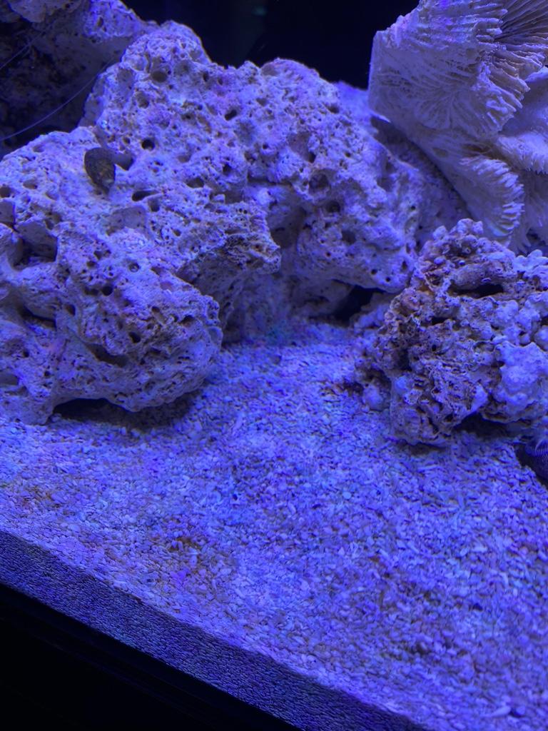 e54c31c83cd94b5f07fd1096123d69c4.jpg