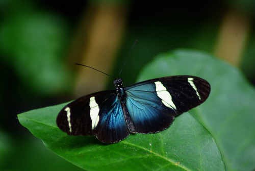 2784848231_3ffd7694c3.jpg