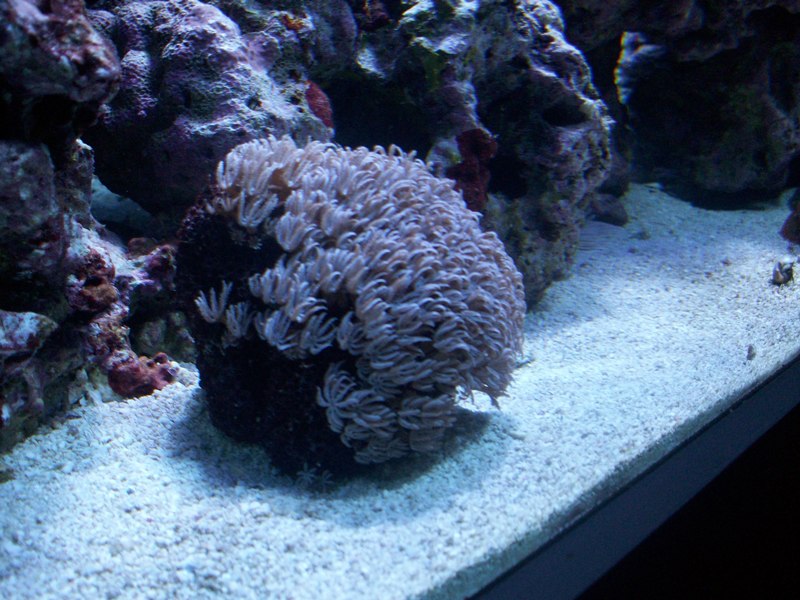 100_9707.jpg