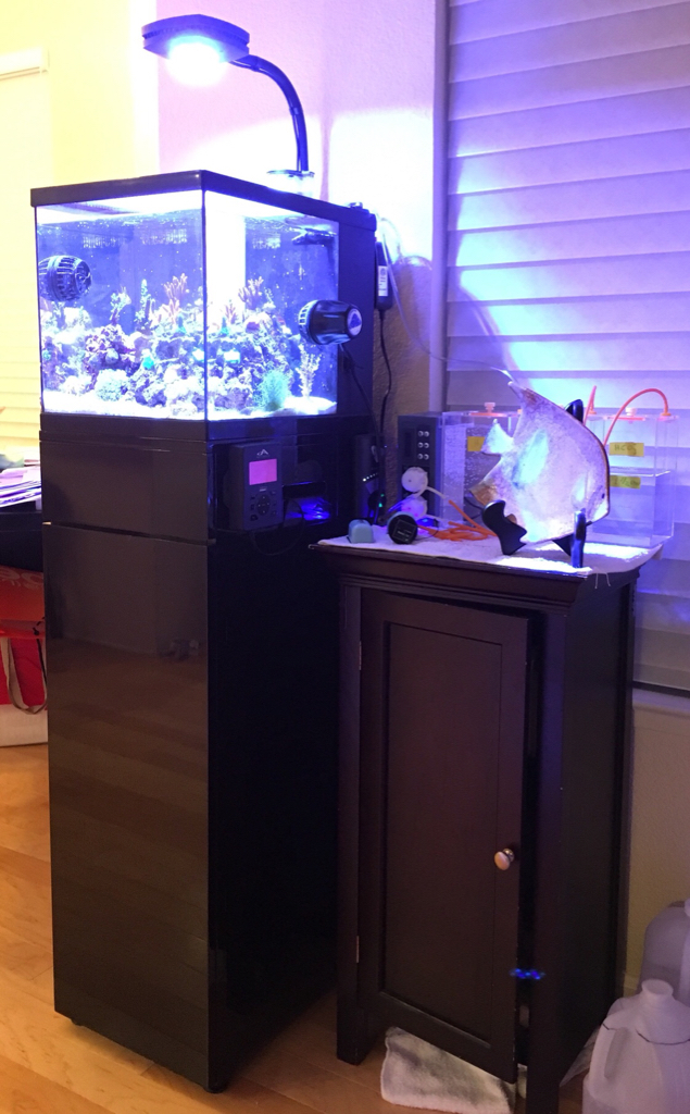c81fdbe88fe913a17ab15eba2d6e3597.jpg