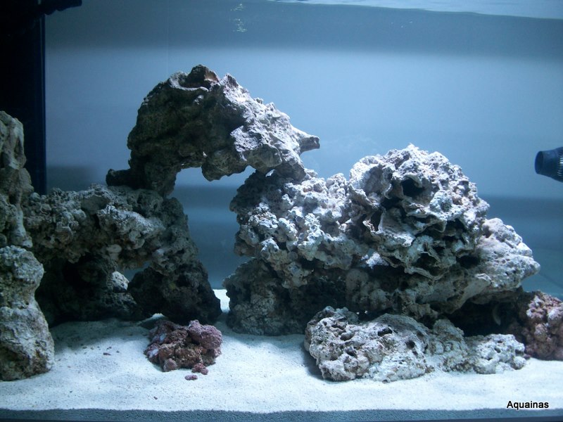 100_6801.jpg