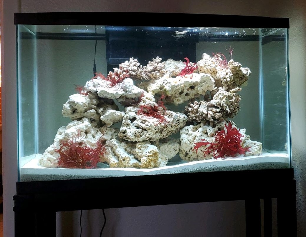 Build Thread - The Current 90 Gallon Tank  REEF2REEF Saltwater and Reef  Aquarium Forum