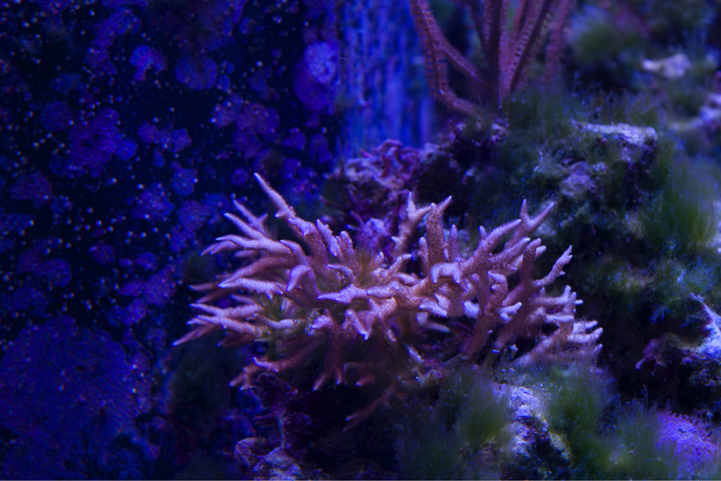 cb6927c74077cc4b009a653f5b002f8d.jpg
