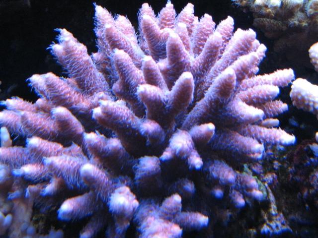 20080401_459316d7a4b3538fa6cd0Eu2ySHneRcn.jpg