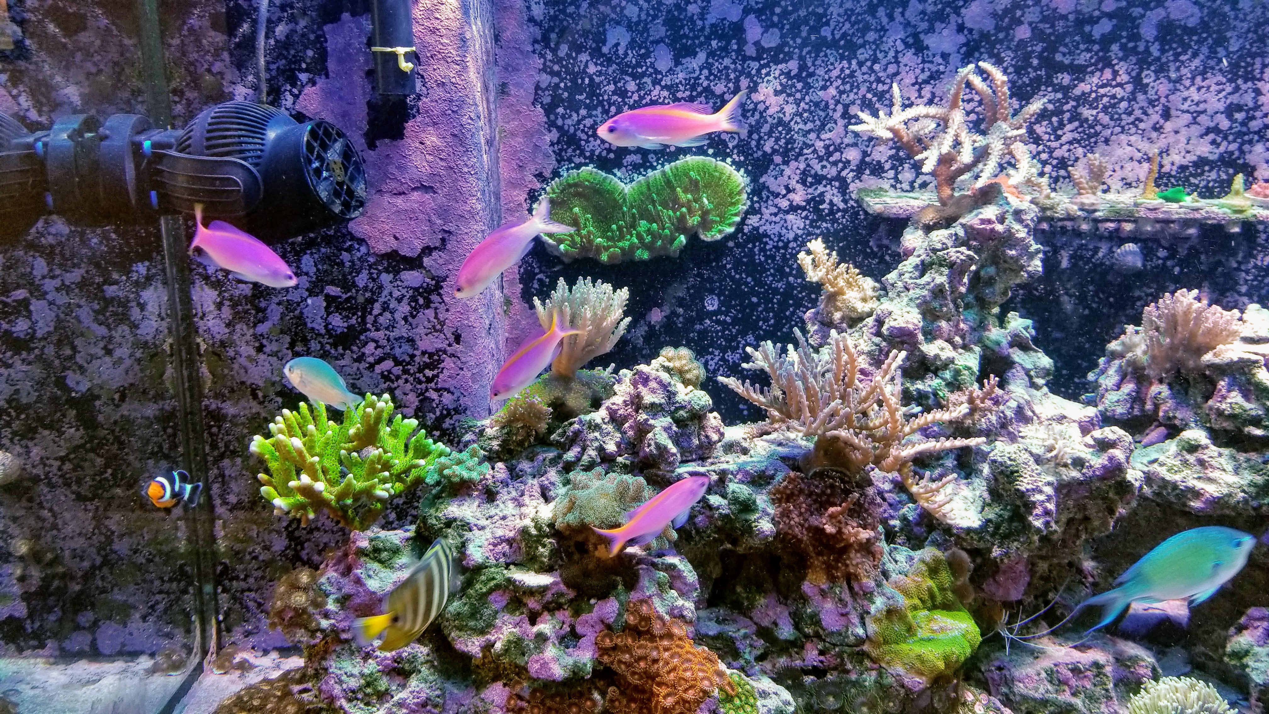 d7650168d78b2454acf79045907901b9.jpg