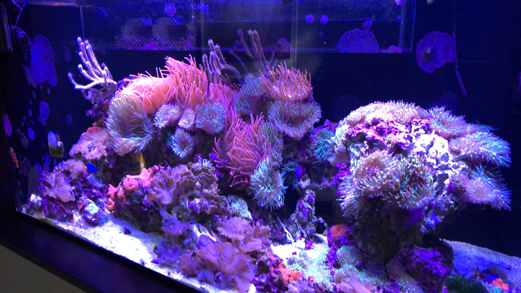 e119f0b9c6db2ec2f7b312f68dc7a4d2.jpg