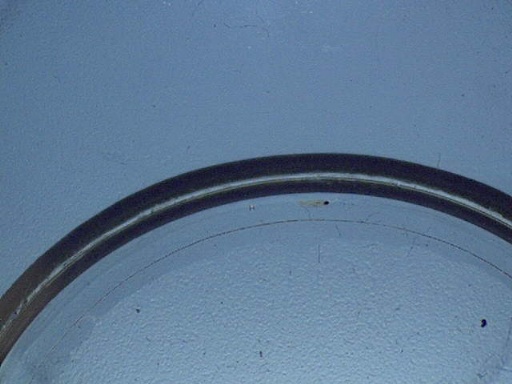 RSB_66_2.jpg