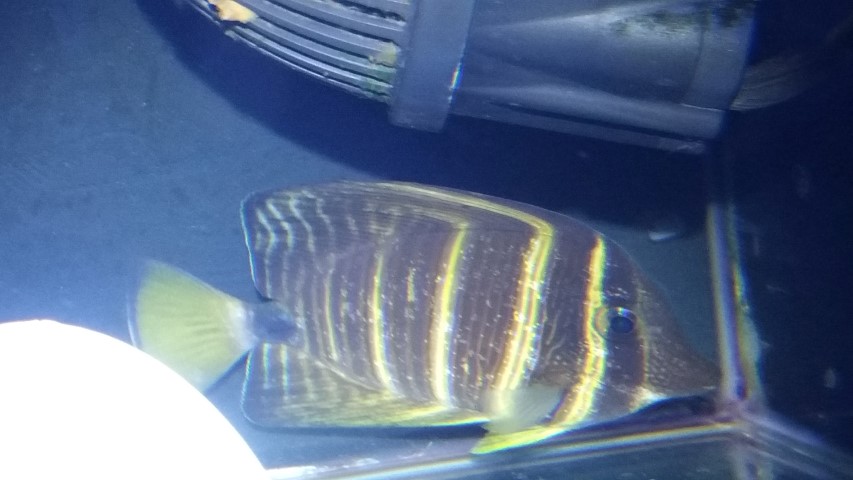 20171218_164802.jpg