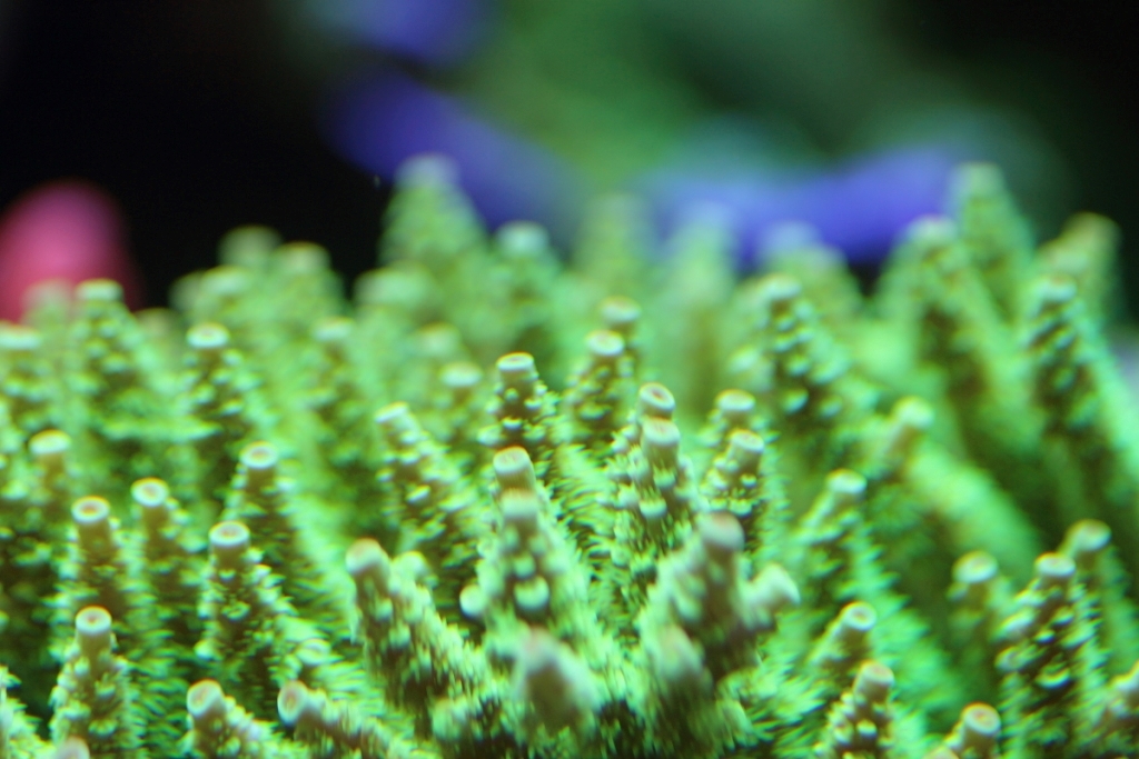 Nov2013M0008.JPG