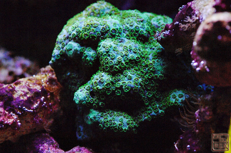 D2X_0886.jpg