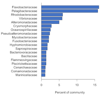 family-abundance-small.jpg