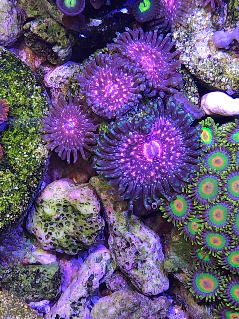 7d5b55f59fd35918d3254502438ebf00.jpg