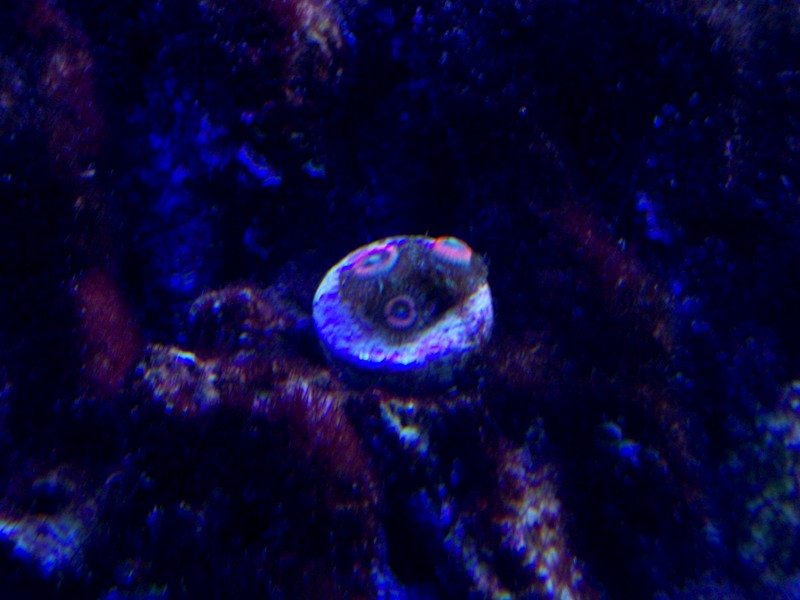 100_9778.jpg