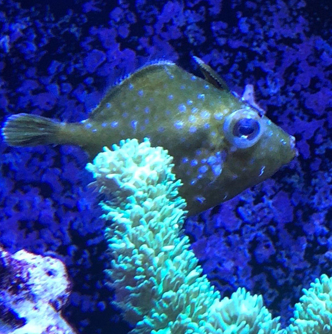 e2cd605f3533e72fa1101f5058e19d6f.jpg