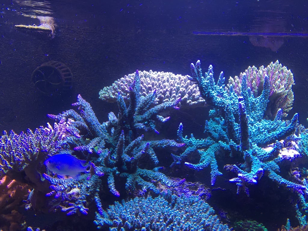 236078a5583c490694e0c132e671a7b5.jpg