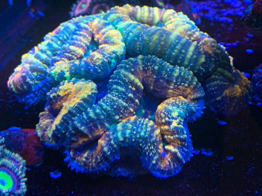 4a52208acd1aa538d27d2f6d15d175d4.jpg