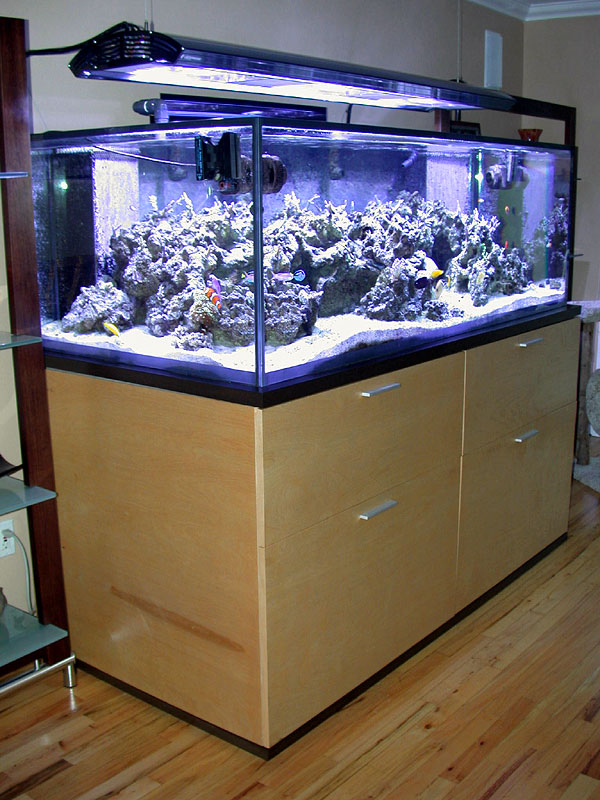 DSCN3129.jpg