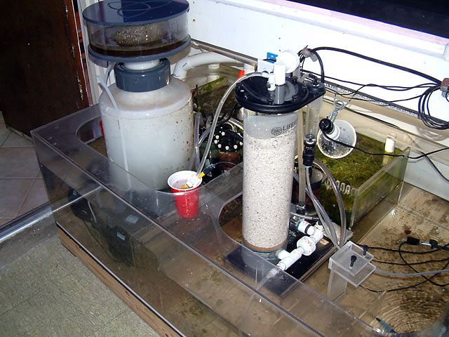 sump_with_ca_reactor.jpg