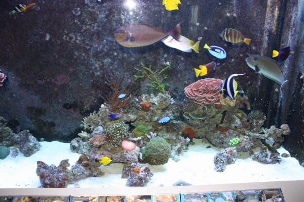 fts002.jpg