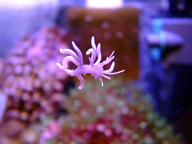 nudi3.jpg