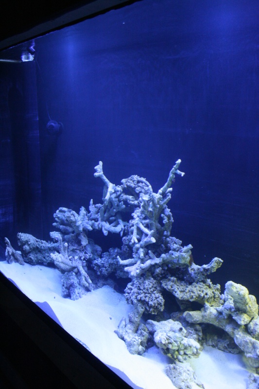 stack5.jpg