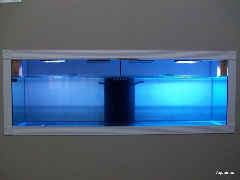 100_6590.jpg