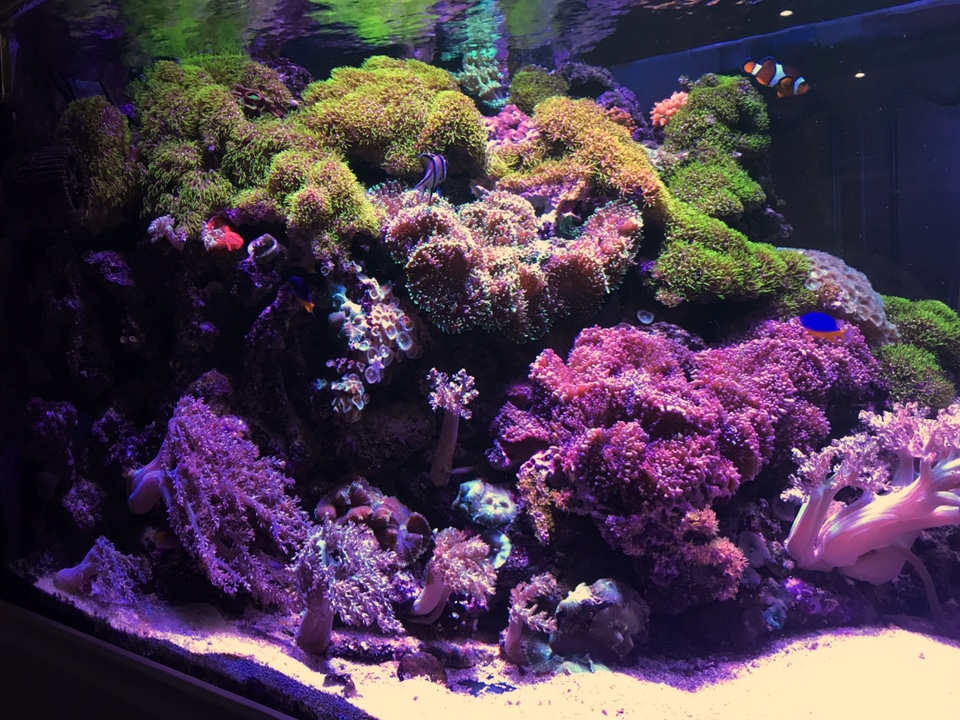 e94a243b46affdafb00a08ef900fe7cc.jpg