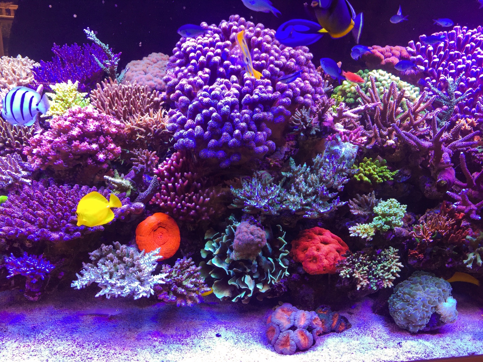 bb206c21932d33ce80c4f9b7c018b4e0.jpg