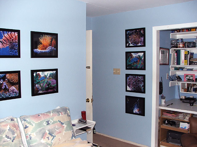 frames_bedroom1.jpg