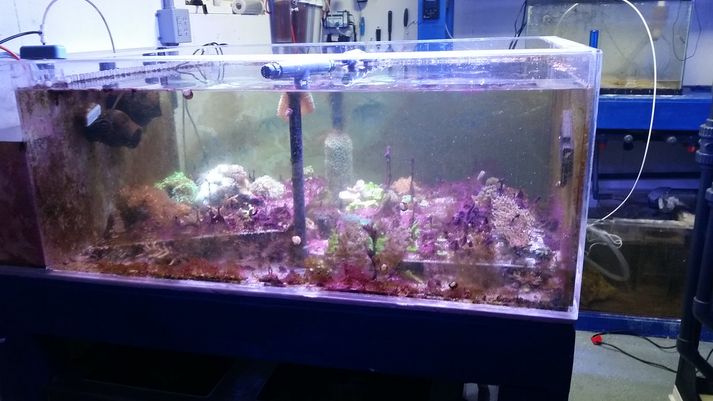20150215_124820-XL.jpg