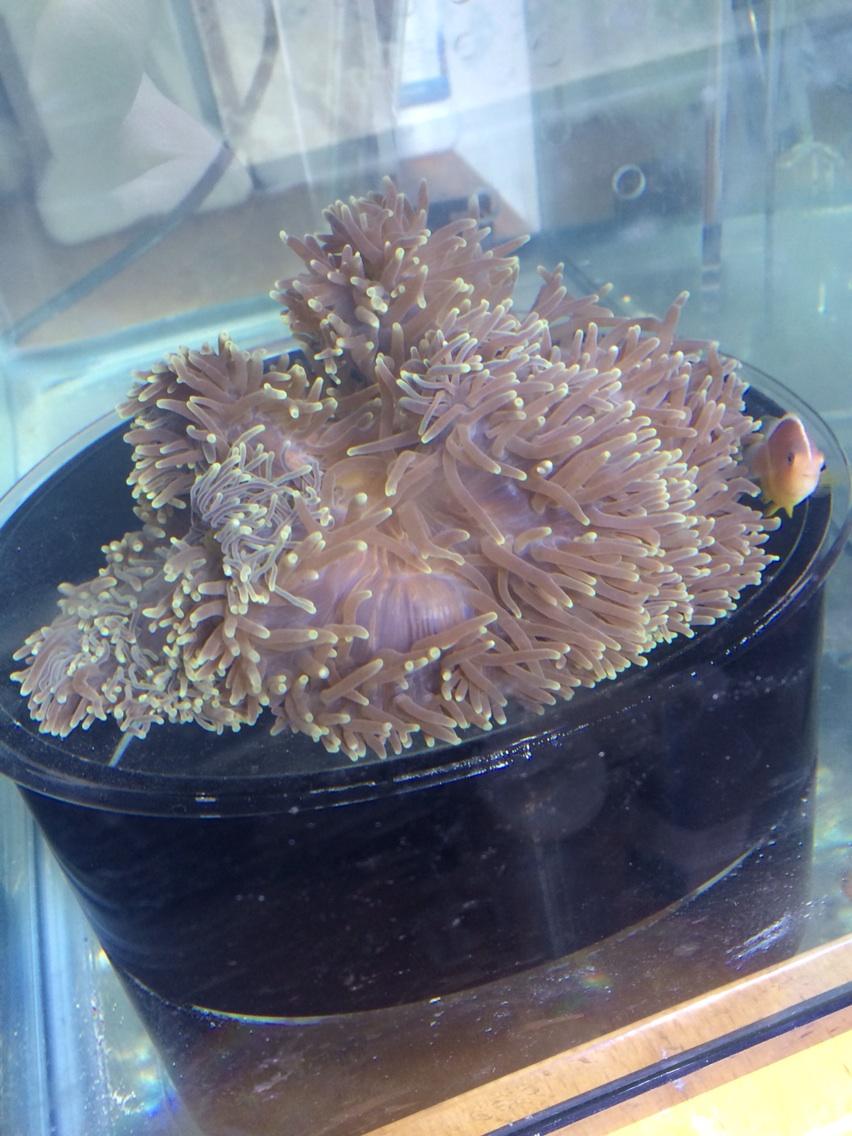 ByvghKgIMAAZ7gj.jpg:large