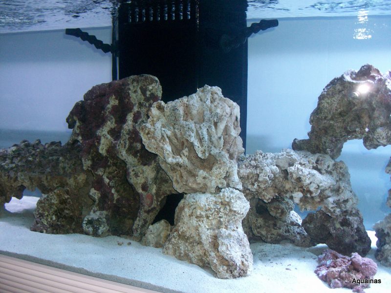 100_6803.jpg