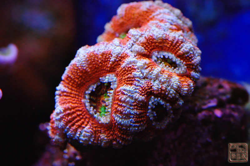 D2X_0897.jpg