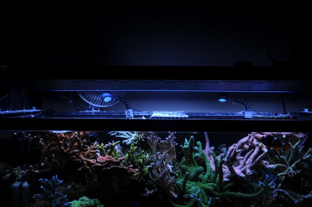 DSC_2164.JPG