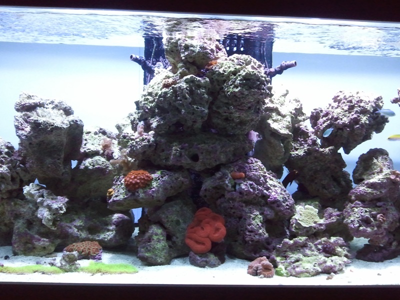 2011-02-20%2020.51.22.jpg