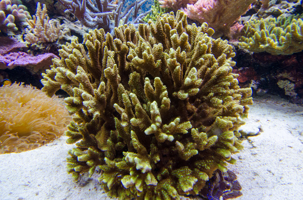 DSC_3717.jpg